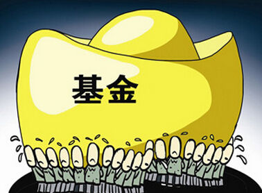 对于新手而言到底是先买股票还是先买基金。