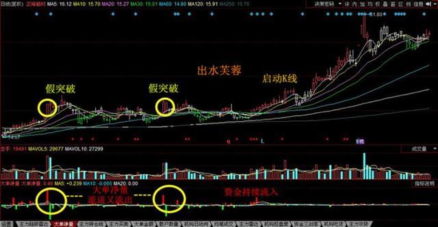 深圳股票交易平台，可靠的软件，股票交易应用程序，真实股票交易