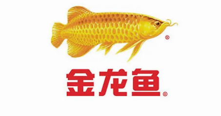 金龙鱼股票_和金龙混养的鱼_金龙鱼的股票