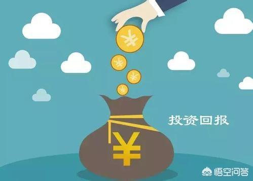 股票型基金 股票收益_股票基金_股票型基金净值