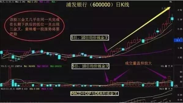 一个在股市上真正有力量的人：做一个安静的投资者，不管它有多忙，都要花3分钟观察它