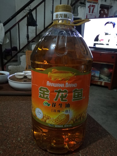 白金猛鱼和金龙_金龙鱼股票_金龙鱼缸配养什么鱼