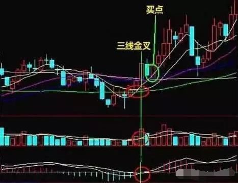 买股票_买股票怎么买_买股票,买基金?