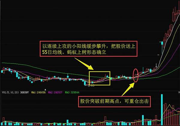 美国散户投资者PK Wall Street发生了什么情况？ GME股票短期活动的完整故事