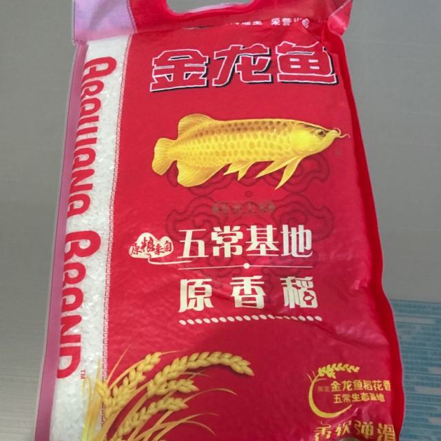 金龙鱼缸配养什么鱼_金龙鱼股票_金龙集团股票