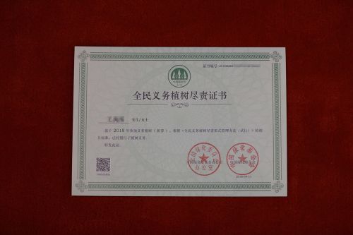 股票基金_股票型基金 股票收益_基金诺安股票基金