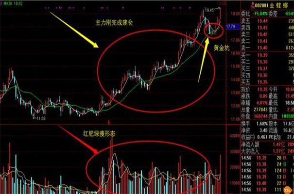 股票基金_股票和基金_国债基金 股票基金