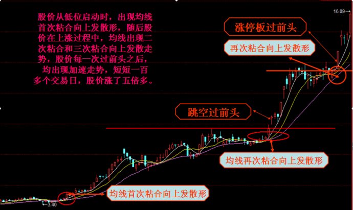 事实:财务系的一位女教授很少说话：我可以和母鸡一起向您介绍中国股市