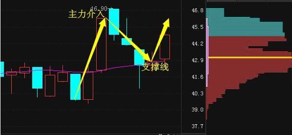 股票入门基础知识_股票基础入门_股票基础入门知识点