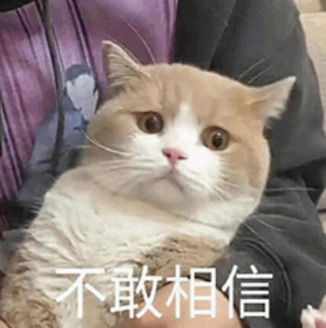 外汇图片