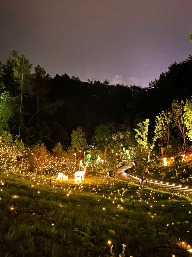 合肥欢乐岛门票学生价_秦陵地宫门票学生门票_丽水冒险岛门票学生证